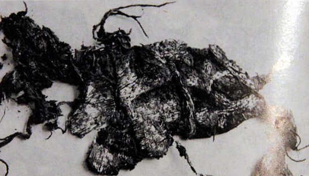Villach-Judendorf - black and white picture of a scrap of textile