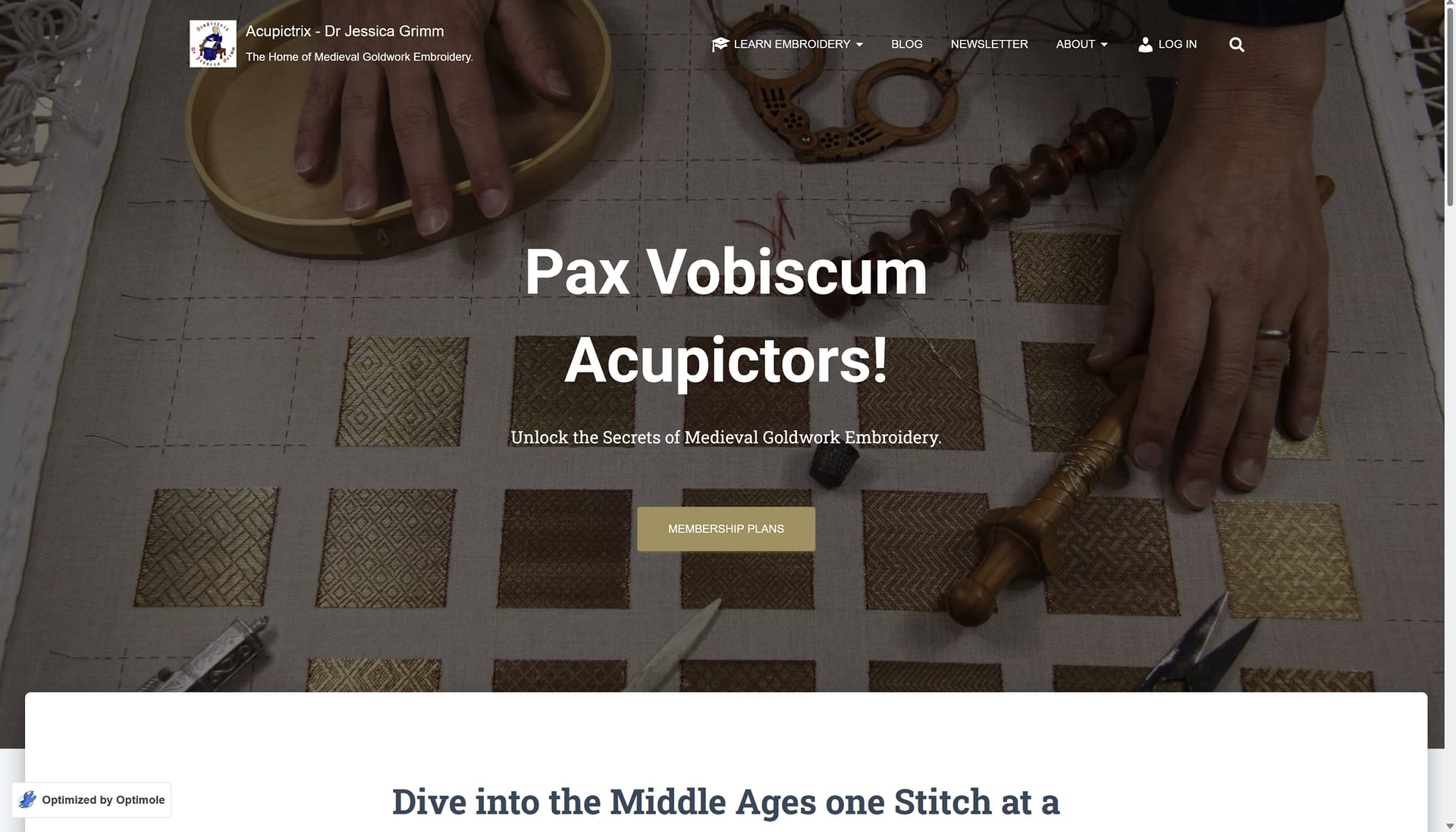 Acupictrix Membership 101