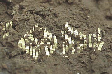 Gold threads - shiny ribbon of gold in the dirt